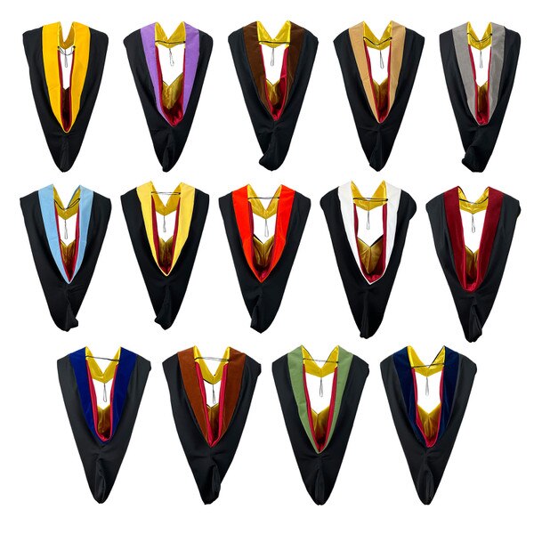 Master Degree Hood
